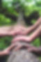 shane-rounce-DNkoNXQti3c-unsplash_edited.jpg