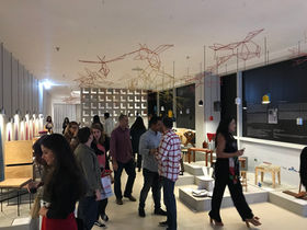 Flying Birds 2018 2.jpg