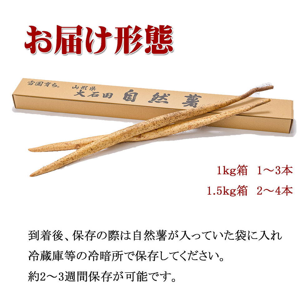 サムネイル： 山形県大石田町産自然薯1.5kg