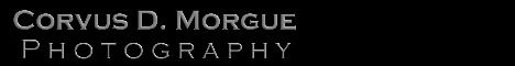www.corvusdmorgue.photography