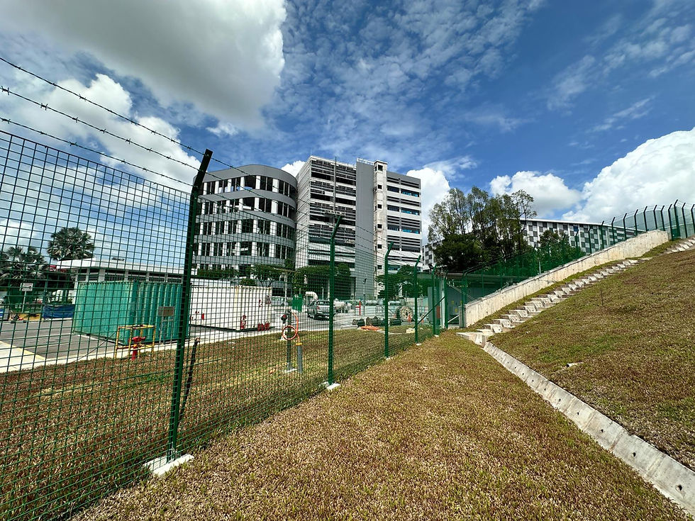 WhatsApp Image 2025-06-24 at 4.24.53 PM