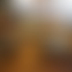 Découvrir le Japon autrement : un petit tour au marché avant d'apprendre à cuisiner local