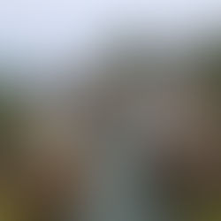 Tottori, ses dunes spectaculaires et la superbe côte d'Uradome