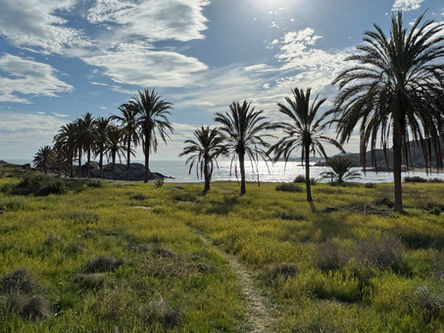 #25 Umweg über Andalusien