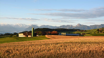 Hof Wyttenbach, Belpberg (BE)