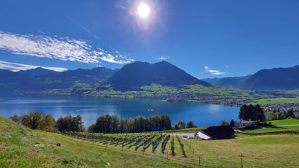Weingärtli, Ennetbürgen (NW)