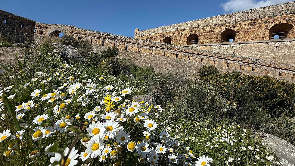 Frühling auf dem Burg Palamidi