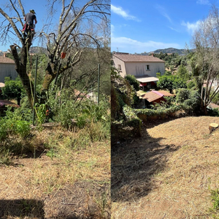 démaquisage, corse,ajacc