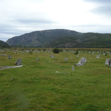 Vestígios de Floresta Primitiva