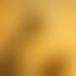 Saber, dedicação e dignidade, valores que inspiram.