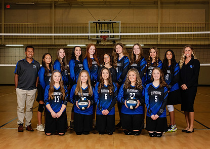 volleyball_edited.jpg