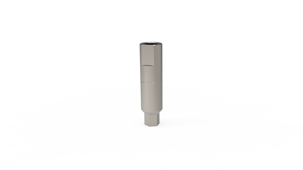 Thumbnail: Cylindrical Abutment length 13 mm