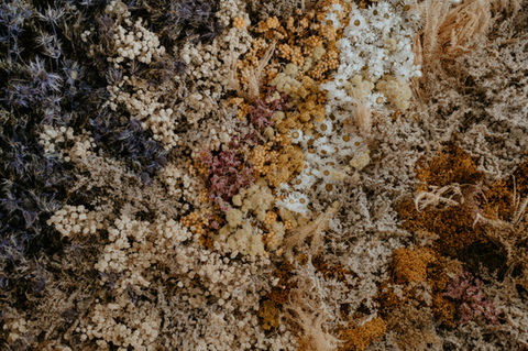 MACHAiR MYTHYOLOGiES & WOVEN STORiES
