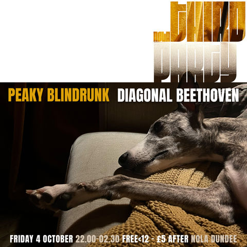 THiRD PARTY POSTER 0401024