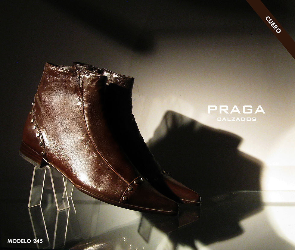 ZQ245 $ 80996 -5 COL-NEG-AZU- VER-MANT-CHO (111)