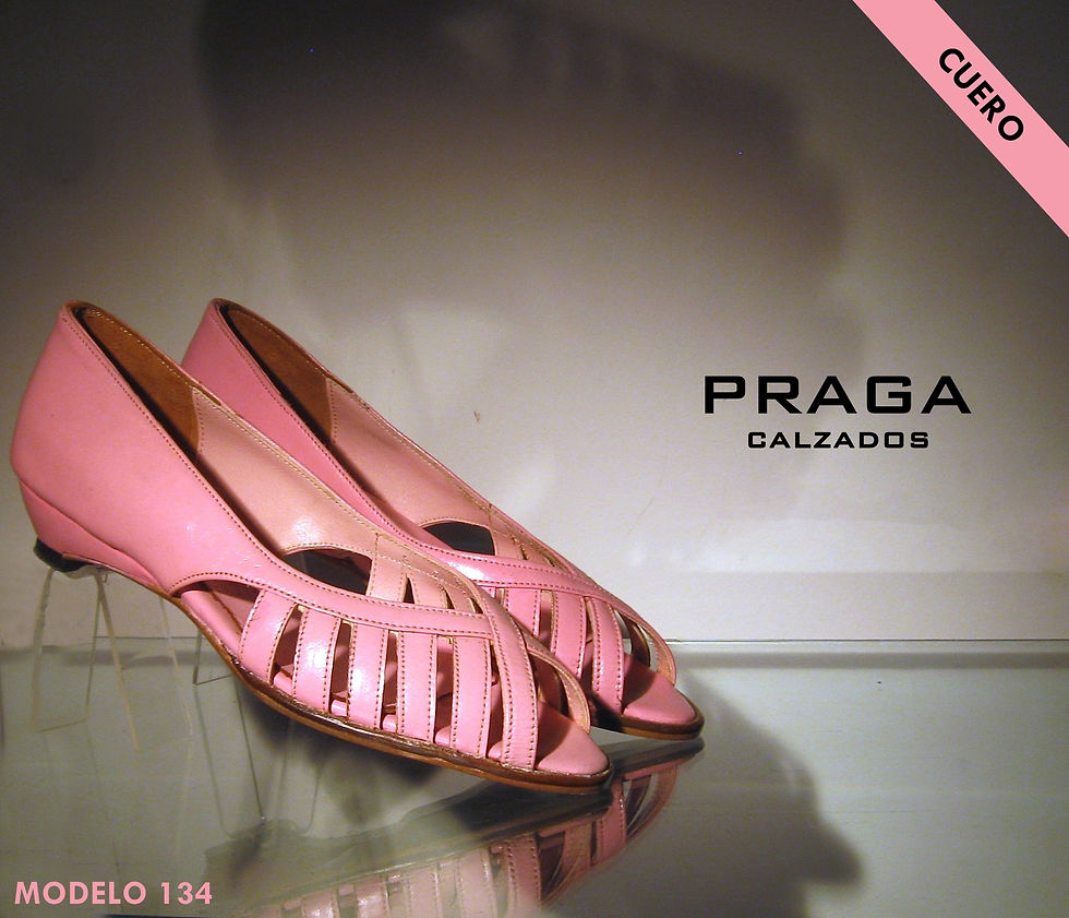Z134 $ 42461 - NEGRO - ROSA (26)