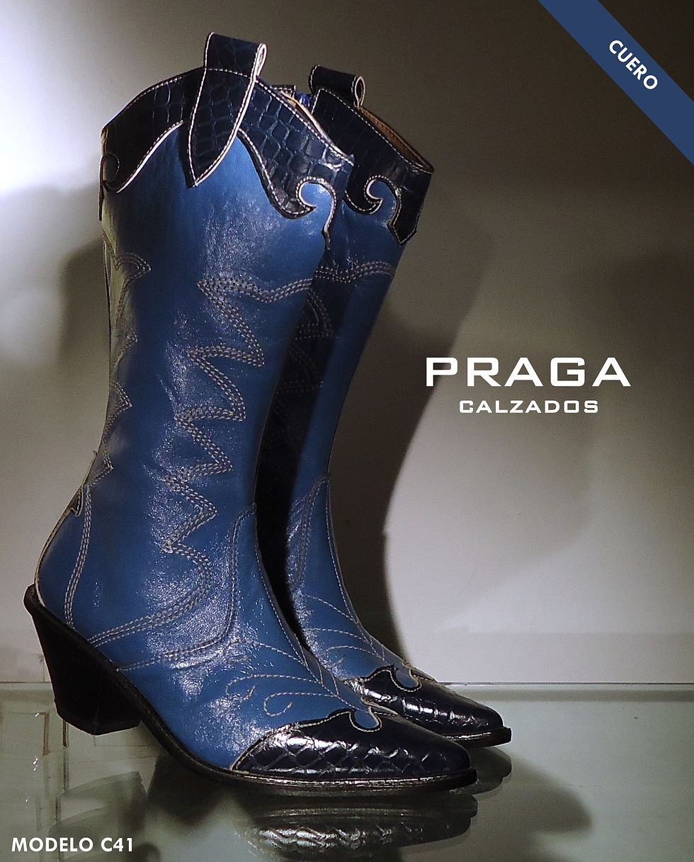 ZQC41 $ 103044  (17)