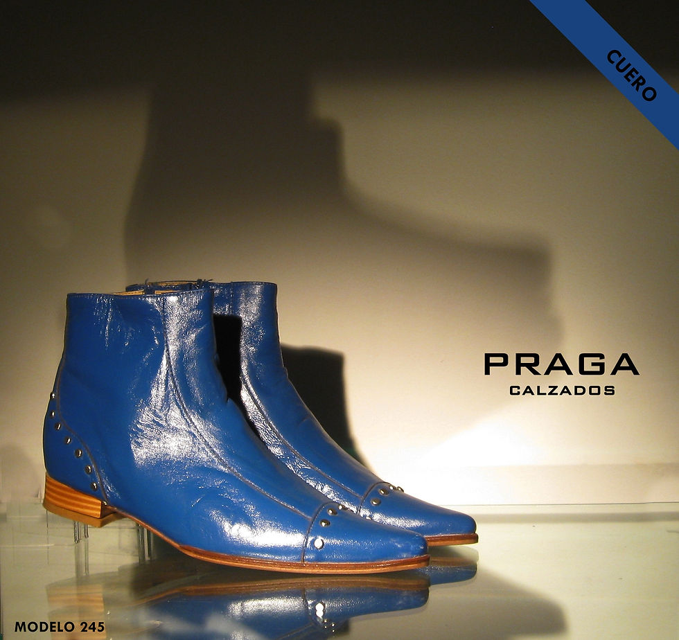 ZQ245 $ 80996 -5 COL-NEG-AZU- VER-MANT-CHO (112)