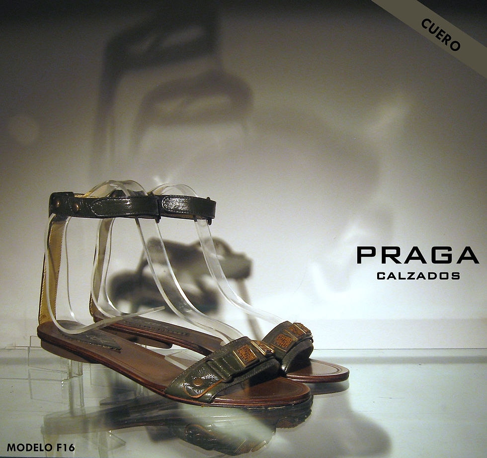 ZF16 $ 56080 -4 COL-NEG-COB- BEIG-VERDE (68)