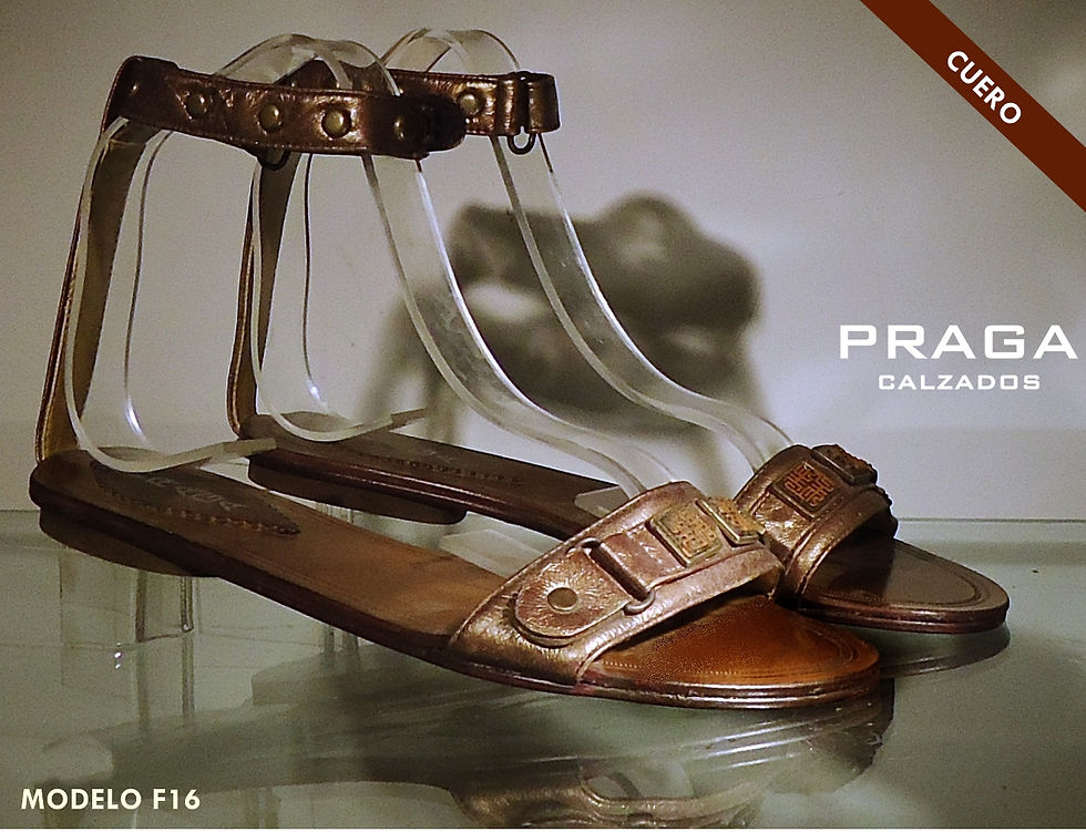 ZF16 $ 56080 -4 COL-NEG-COB- BEIG-VERDE (73)