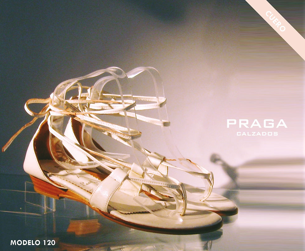 Z120 Z119 $ 42461 (1)