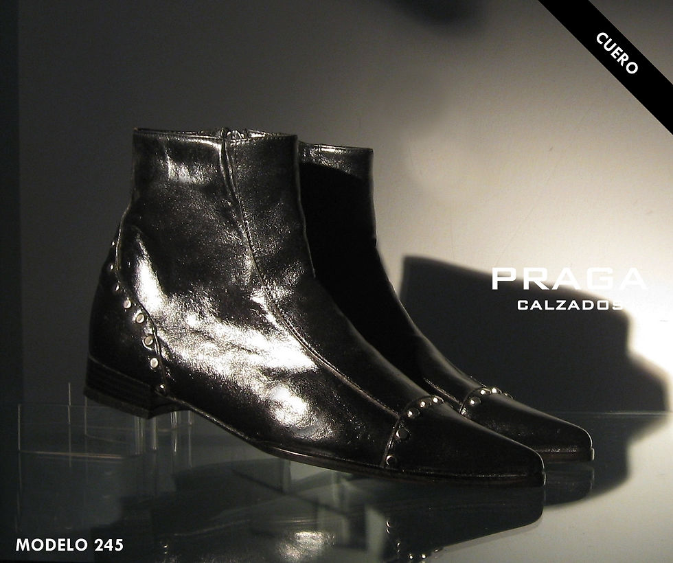 ZQ245 $ 80996 -5 COL-NEG-AZU- VER-MANT-CHO (125)