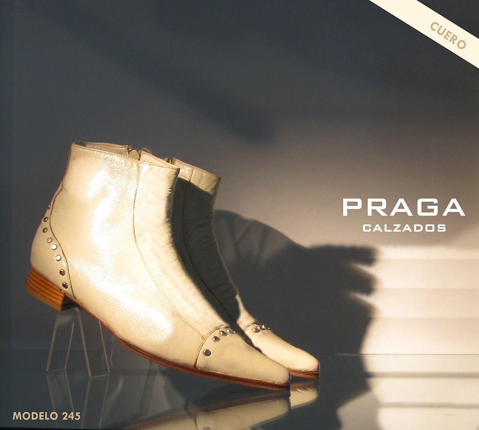 ZQ245 $ 80996 -5 COL-NEG-AZU- VER-MANT-CHO (124)