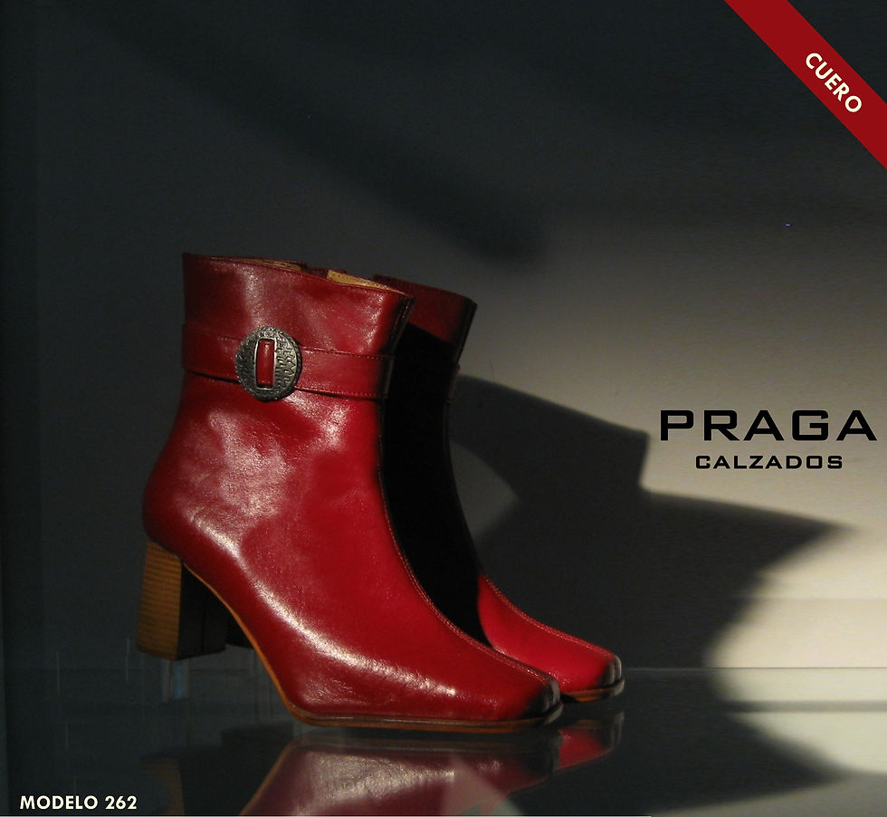 ZQ262 $ 80996 -5 COL-COC-CAM- RUB-NEG-VER (99)