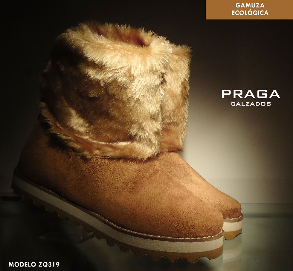 ZQ319 $ 67062 -1 COL-COCO