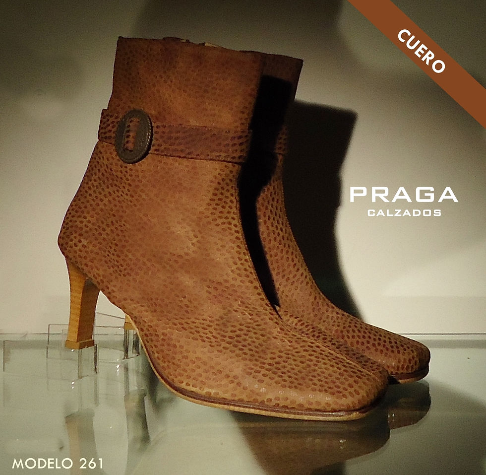 ZQ261 $ 80996 -1 COL-COCO (17)