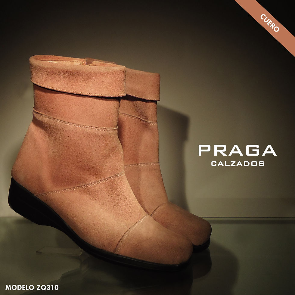 ZQ310 $ 80996 -2 COL-NEGRO- ROSA (41)