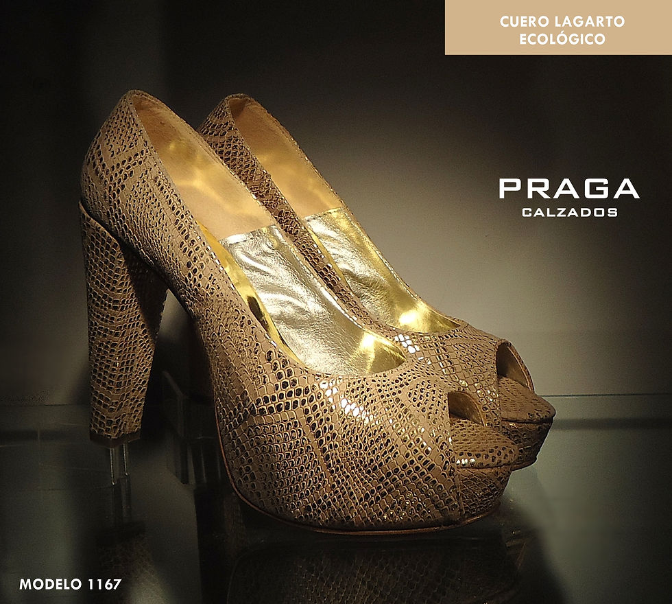 Z1167 $ 77161 -1 COL-ORO