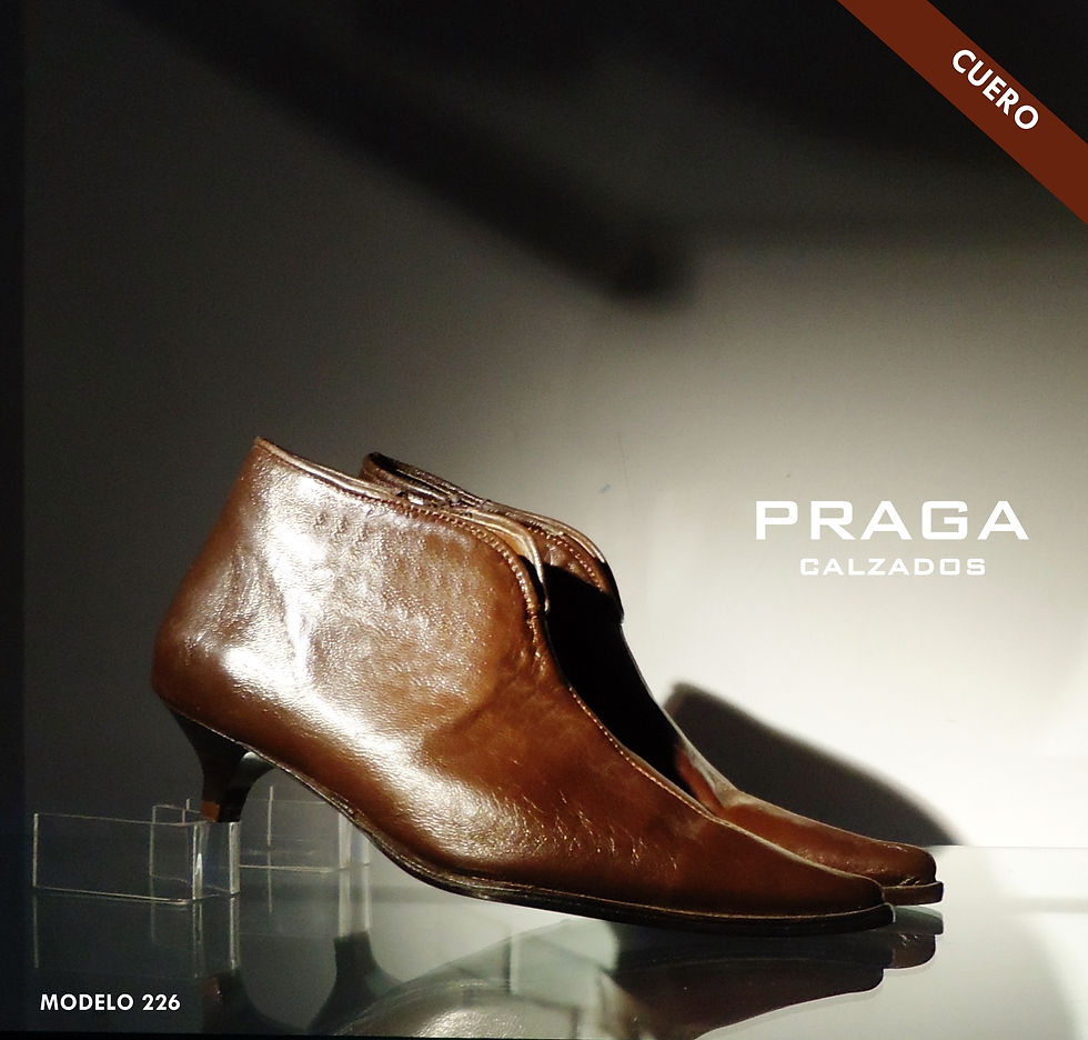 ZQ226 $ 80996 -3 COL-CHOCO- ORO-MANH (60)