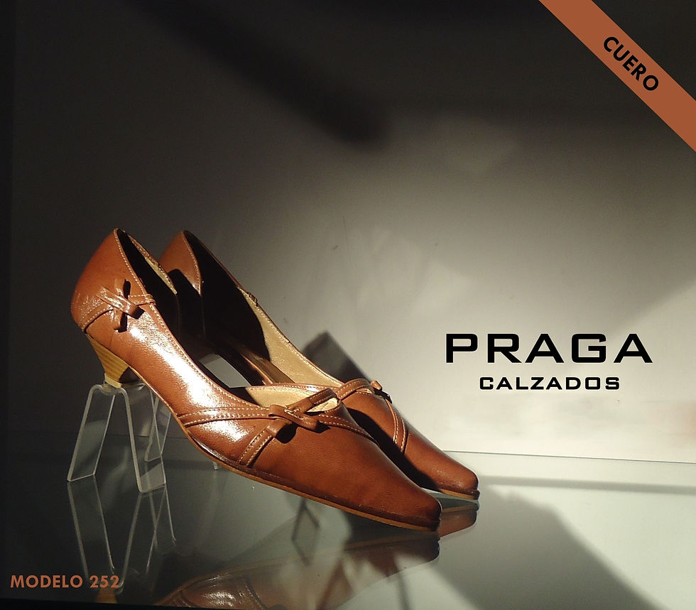 Z252 $ 56080 (1)