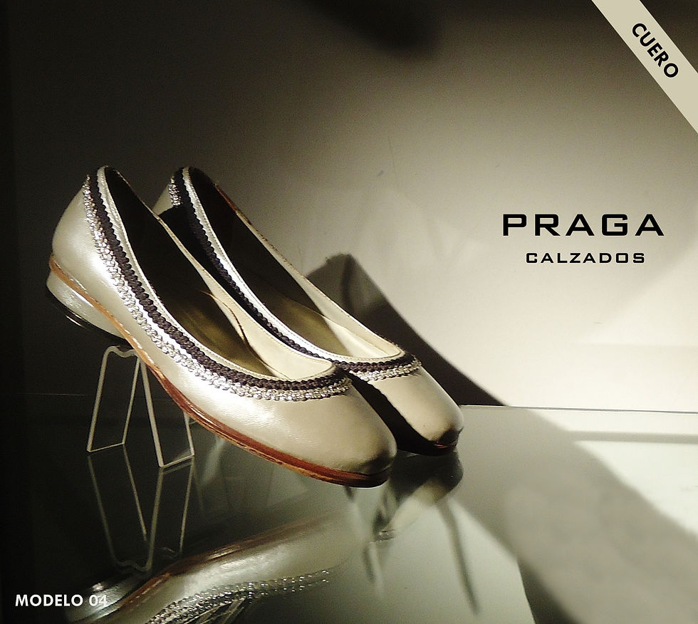 Z04 $ 53076 -5 COL-NEG-SUE-DOR-PLA-GRIS (93)