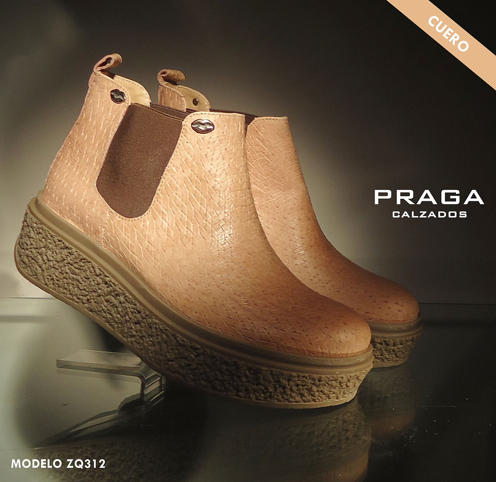 ZQ312 $ 87961 -1 COL-BEIGE CLARO (6)