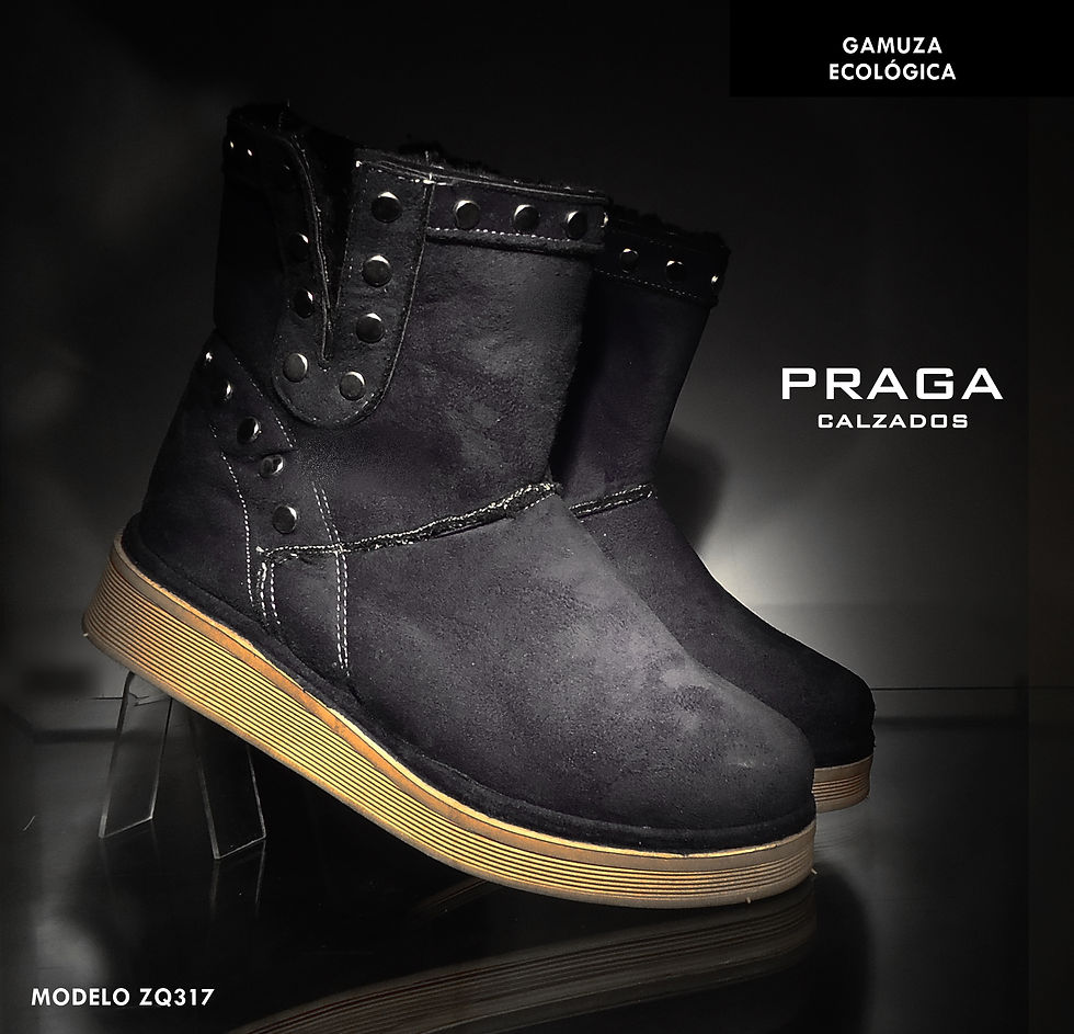 ZQ317 $ 67062 -2 COL-NEGRO- HIELO (11)