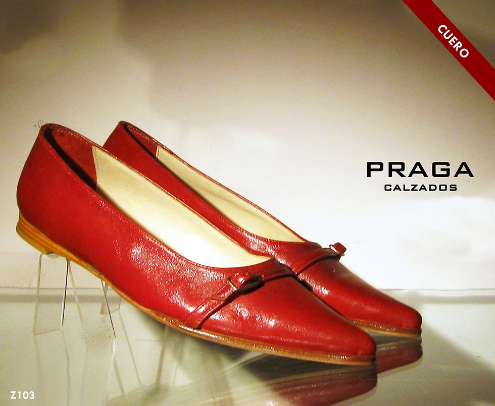 Z103 Z04 $ 42461 (1)