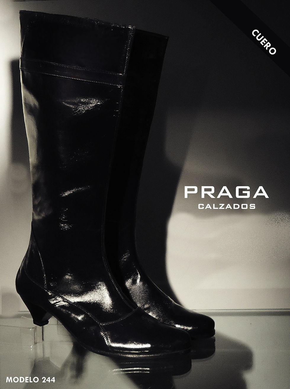 ZQ244 $ 103280 -5 COL-NEG-VER- GRIS-BEIG-CHOC (100)