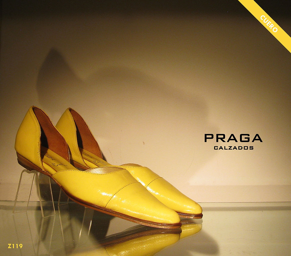 Z119 $ 53076 -10 COL-CAM-ROJ-AMA-COBR-MAS 6 (212)