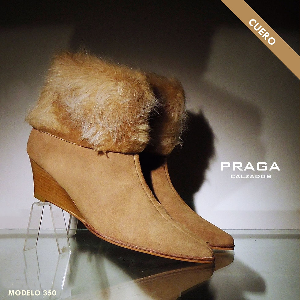 ZQ350 $ 92606 -1 COL-COCO (17)