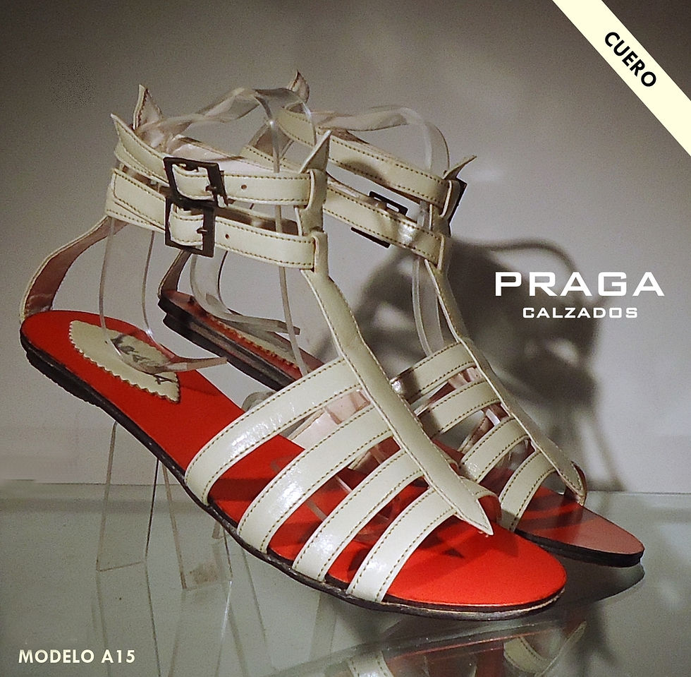 ZF15 $ 56080 -5 COL-BEI-COB- PEL-MHT-MAN (67)