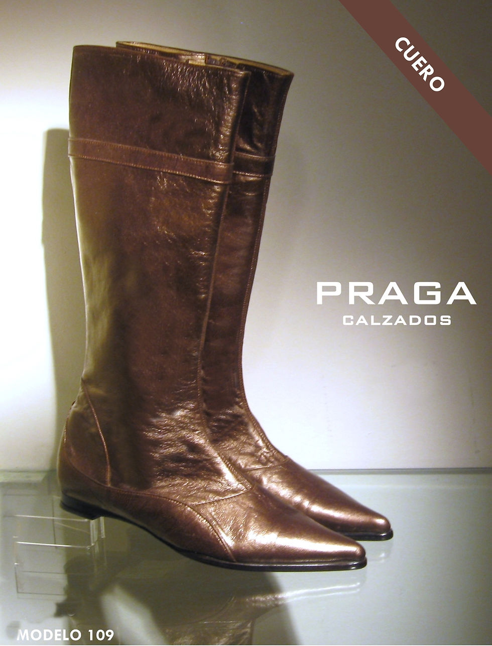 ZQ109 $ 103280 -13 COL-NEG-CAM- GRIS-UVA-MAS 9 (293)