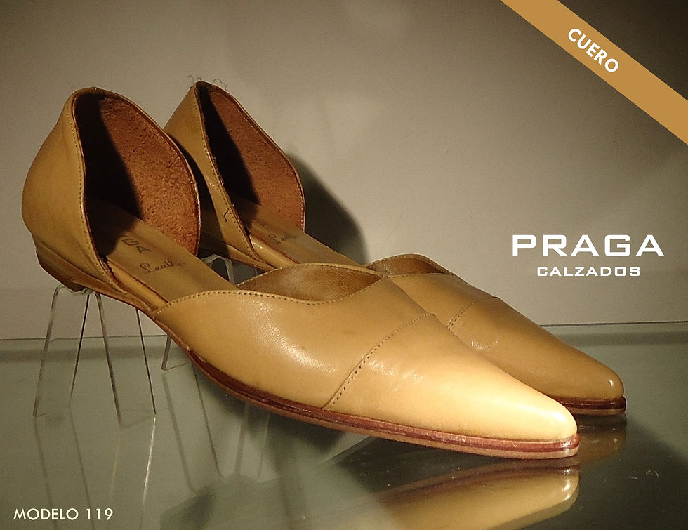 Z119 $ 53076 -10 COL-CAM-ROJ-AMA-COBR-MAS 6 (195)