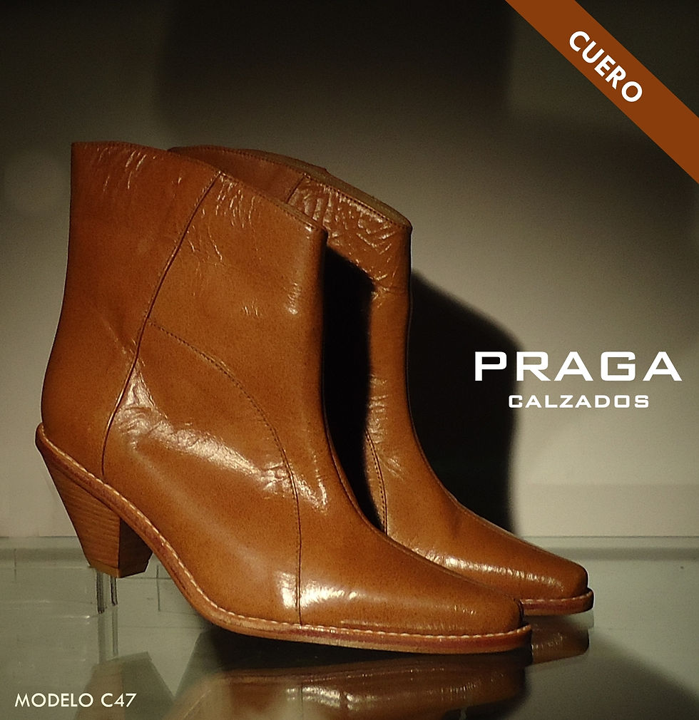 ZQC47 $ 92606 -6 COL-RO-NEG-VER-CAM-MAS 2 (224)C47 OV 33 (1)