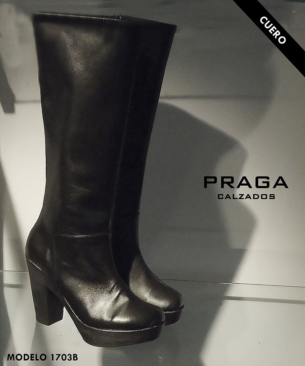 ZQ1703B $ 133507 (1)