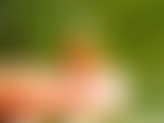 Das Lösen von Trauma