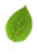 Leaf editing logo small.png