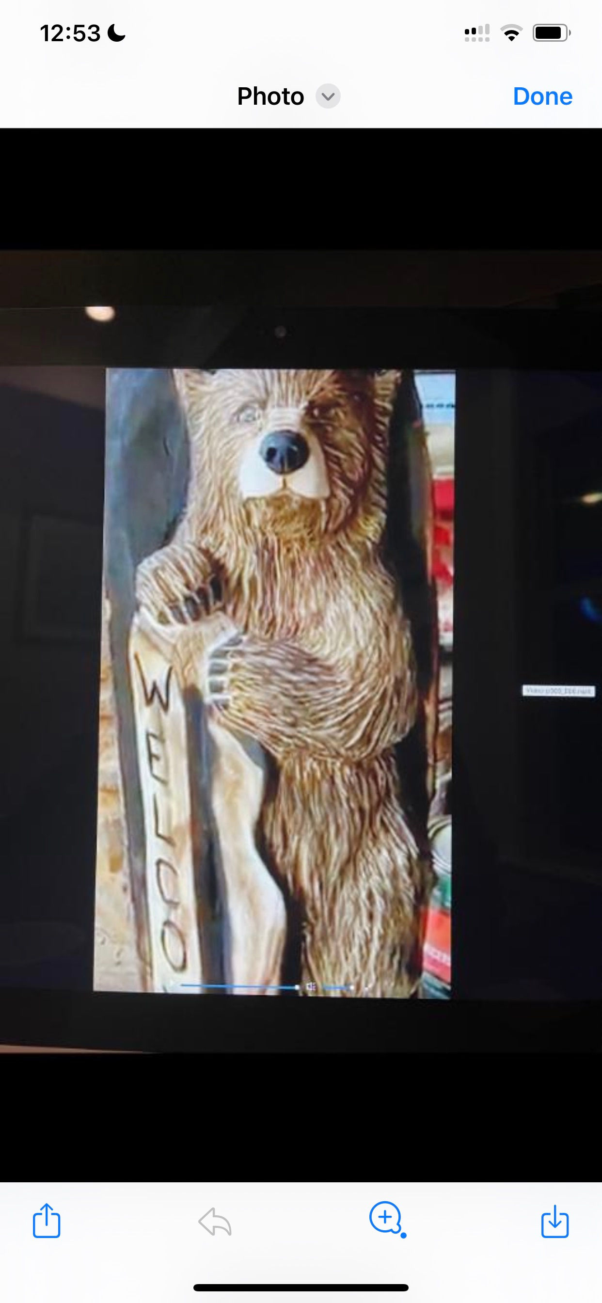 Welcome bear vertical