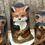 Thumbnail: smoky mountain baby animals